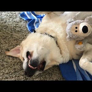 Meet your Posher, Suzanne